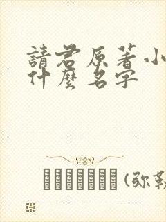 请君原著小说叫什么名字