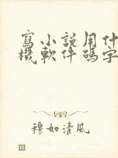 写小说用什么手机软件码字