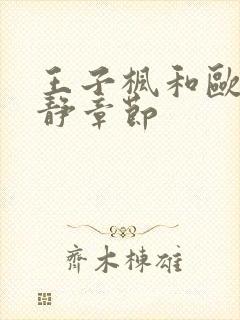 王子枫和欧阳如静章节