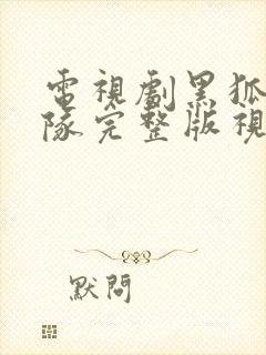 电视剧黑狐突击队完整版视频