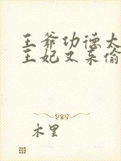 王爷功德太旺,王妃又来偷气运