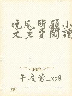 晚风所愿小说全文免费阅读