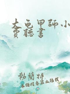 大龟甲师小说免费听书