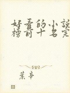 好看的小说排行榜前十名完结版