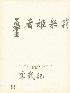 勇者姬米莉娅动画