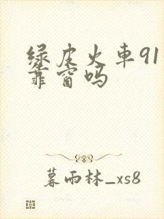 绿皮火车91号靠窗吗