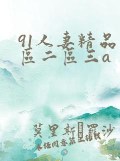 91人妻精品一区二区三a