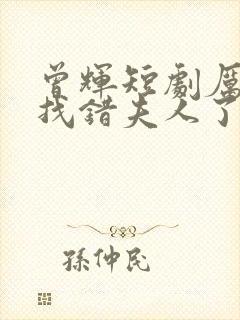 曾辉短剧厉总你找错夫人了