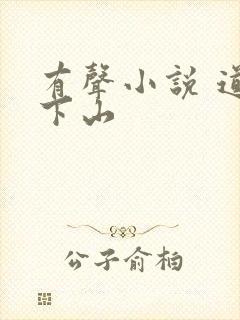 有声小说 道士下山