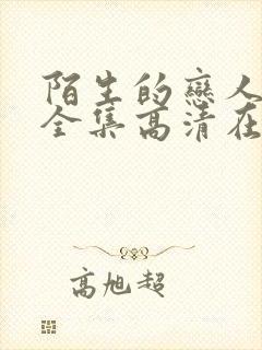 陌生的恋人免费全集高清在线观看