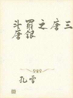 斗罗之唐三他哥唐银