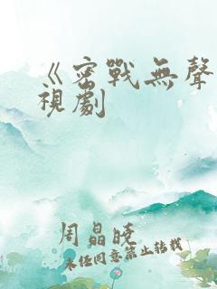 《密战无声》电视剧