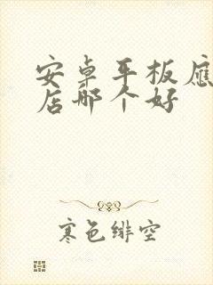 安卓平板应用商店哪个好