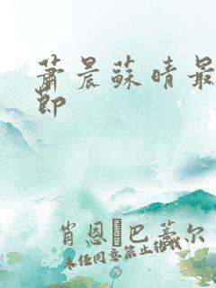 萧晨苏晴最新章节