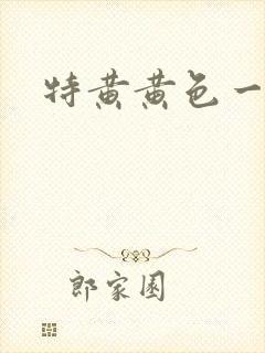 特黄黄色一级片