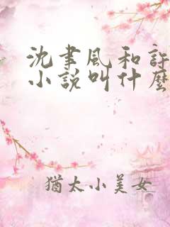 沈聿风和许谧的小说叫什么名字