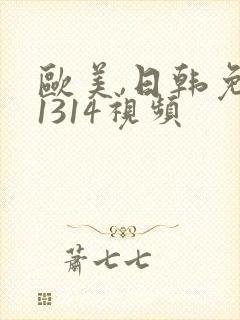 欧美,日韩免费1314视频