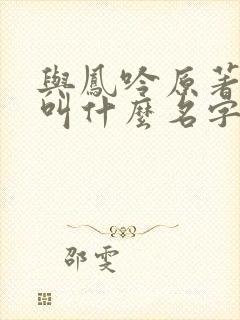 与凤吟原著小说叫什么名字