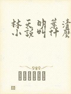 林天明叶清雪的小说叫什么名字