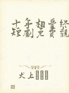 十年相爱终成空短剧免费观看