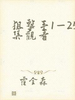 狙击手1—25集观看