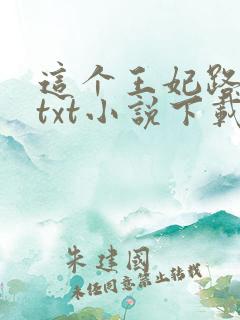 这个王妃路子野txt小说下载