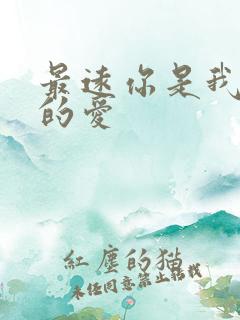 最远你是我最近的爱