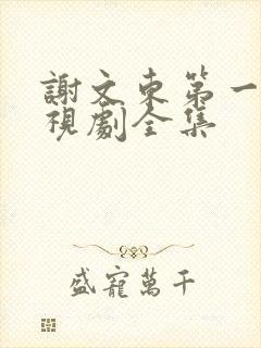 谢文东第一季电视剧全集