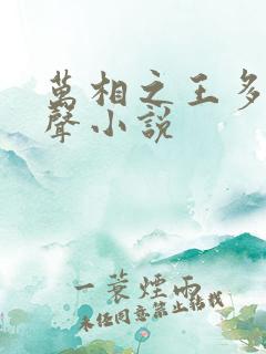 万相之王多人有声小说