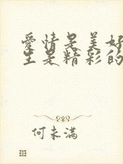 爱情是美好的人生是精彩的大结局