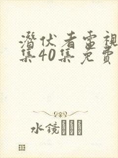 潜伏者电视剧全集40集免费观看潜伏