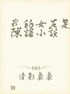 我的女友是校花陈诺小说