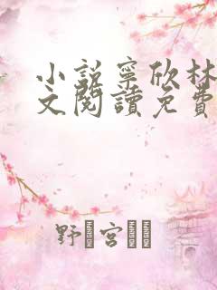小说宁欣林峰全文阅读免费