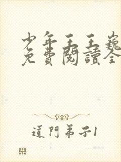 少年王王巍小说免费阅读全文