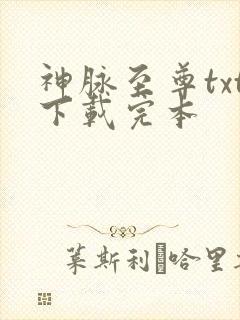 神脉至尊txt下载完本