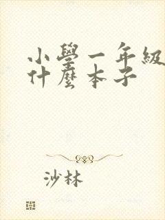 小学一年级要买什么本子