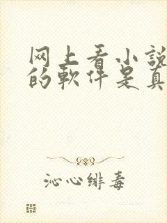 网上看小说赚钱的软件是真的吗