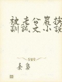 被老公严挨打的训诫文小说