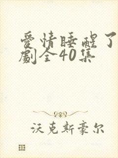 爱情睡醒了电视剧全40集