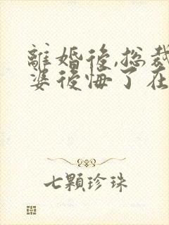 离婚后,总裁老婆后悔了在线阅读