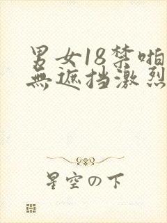 男女18禁啪啪无遮挡激烈免费