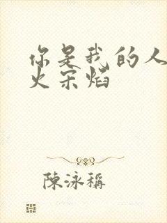 你是我的人间烟火宋焰