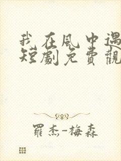 我在风中遇见你短剧免费观看