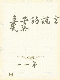 妻子的谎言一共几集