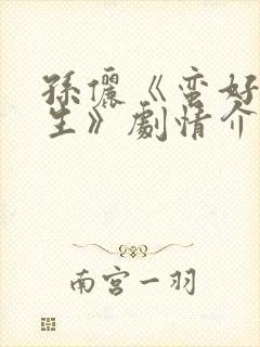 孙俪《蛮好的人生》剧情介绍