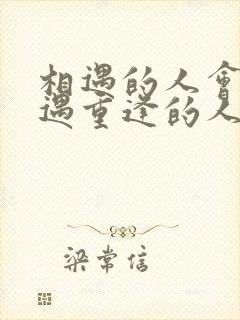 相遇的人会再相遇重逢的人会再重逢