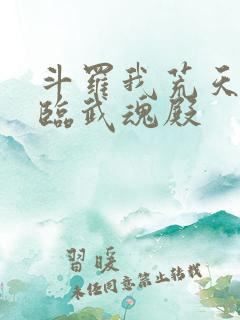 斗罗我荒天帝降临武魂殿