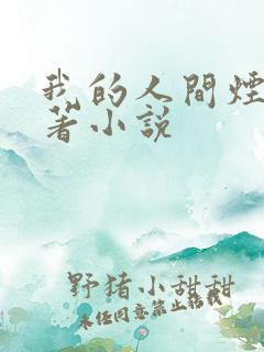 我的人间烟火原著小说