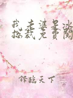 我老婆是冰山女总裁免费阅读最新