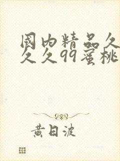 国内精品久久久久久99蜜桃